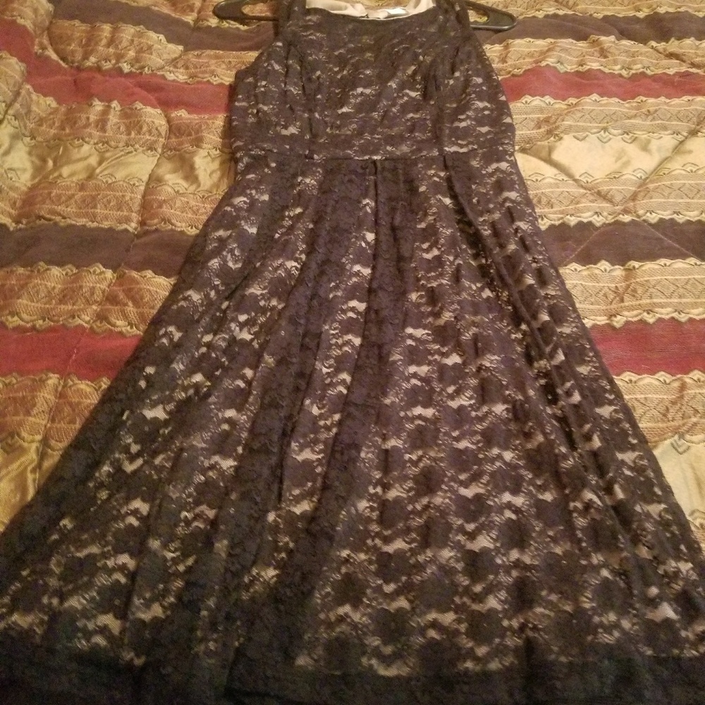 Cream and black lace Cato size 6 dress NWOT